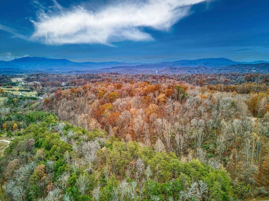 Bridgewood Cabin, Hot Tub, 1089 Of Free Attraction Tickets For Each Paid Day, Dollywood And More! Pigeon Forge Buitenkant foto